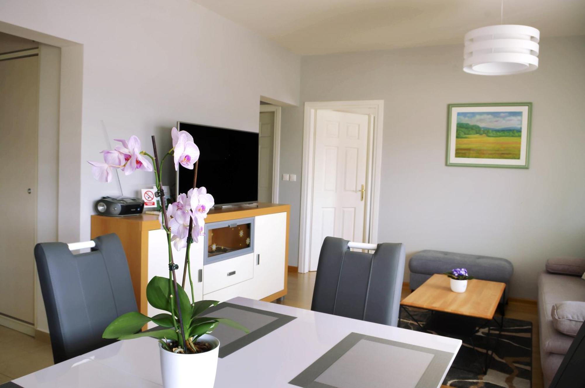 Apartman Dada Krapinske Toplice Exteriör bild